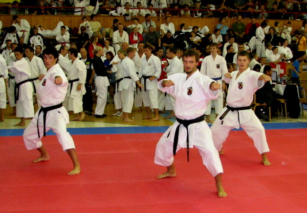 Kata komandos pasirodymas pasaulio čempionate(Karolis Čiutra, Remigijus Šadas, Antanas Grižas)