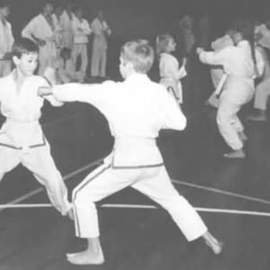 Lietuvos Shotokan Karatė Federacija