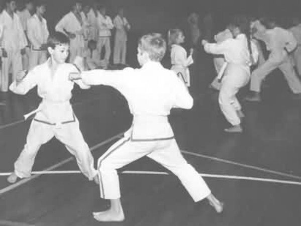 Lietuvos Shotokan Karatė Federacija