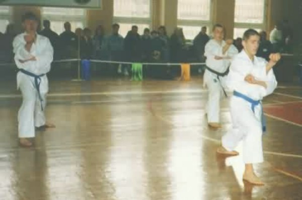 Lietuvos Shotokan Karatė Federacija