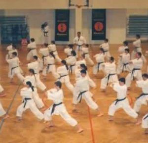 Lietuvos Shotokan Karatė Federacija