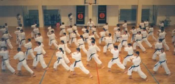 Lietuvos Shotokan Karatė Federacija