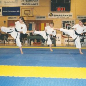 Lietuvos Shotokan Karatė Federacija