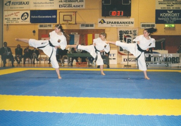 Lietuvos Shotokan Karatė Federacija