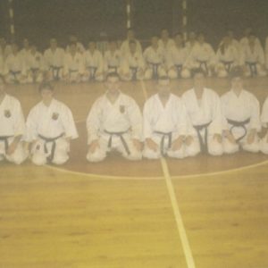 Lietuvos Shotokan Karatė Federacija