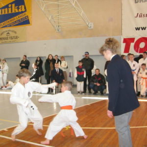 Lietuvos Shotokan Karatė Federacija