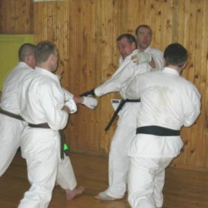 Lietuvos Shotokan Karatė Federacija