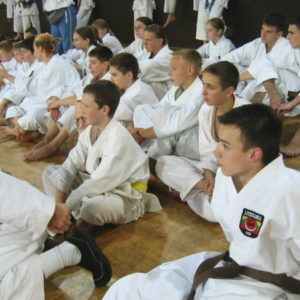 Lietuvos Shotokan Karatė Federacija