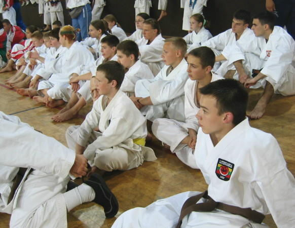 Lietuvos Shotokan Karatė Federacija