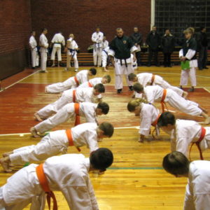 Lietuvos Shotokan Karatė Federacija