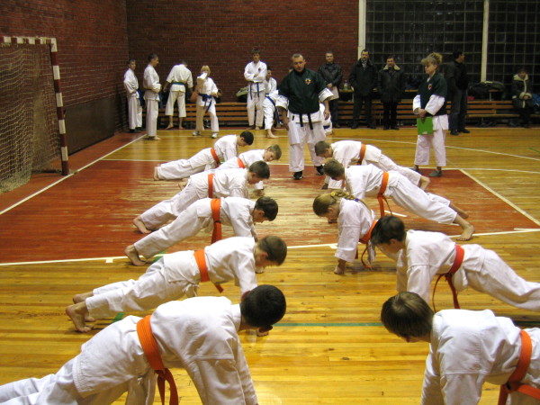 Lietuvos Shotokan Karatė Federacija