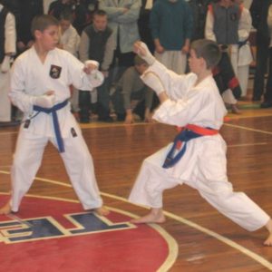 Lietuvos Shotokan Karatė Federacija