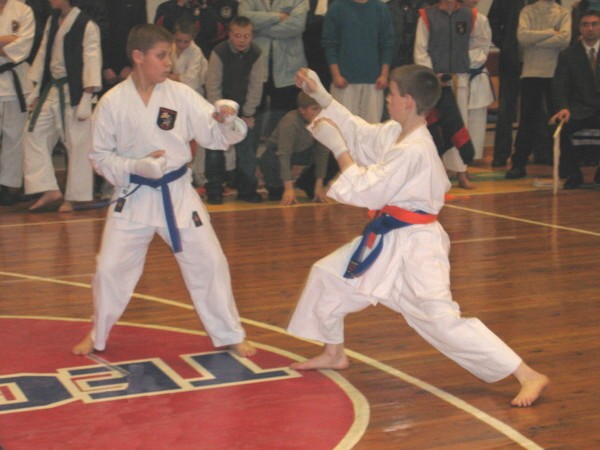 Lietuvos Shotokan Karatė Federacija