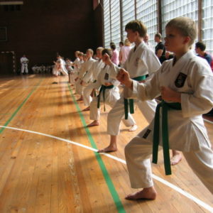 Lietuvos Shotokan Karatė Federacija