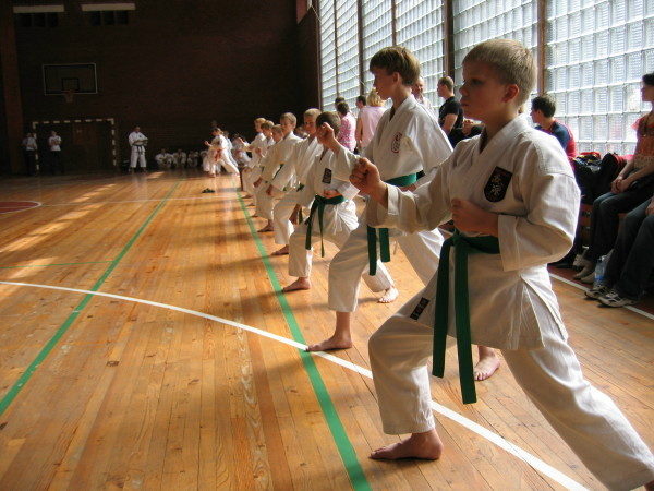 Lietuvos Shotokan Karatė Federacija