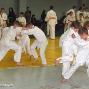 Lietuvos Shotokan Karatė Federacija