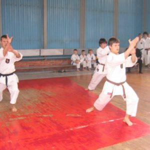 Lietuvos Shotokan Karatė Federacija