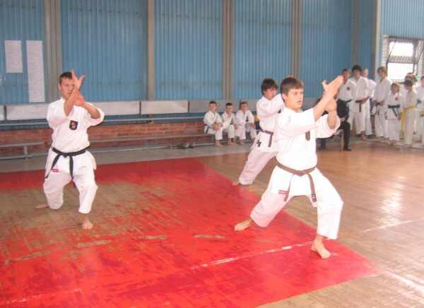 Lietuvos Shotokan Karatė Federacija