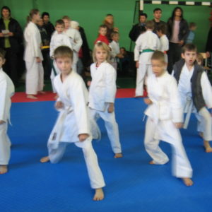 Lietuvos Shotokan Karatė Federacija