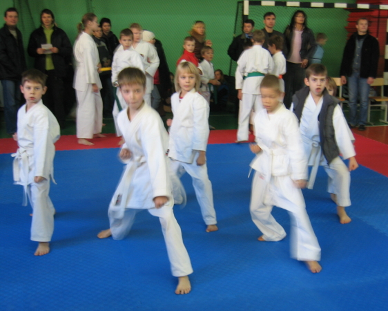 Lietuvos Shotokan Karatė Federacija