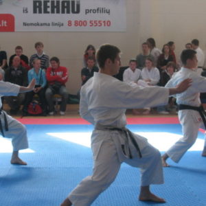 Lietuvos Shotokan Karatė Federacija