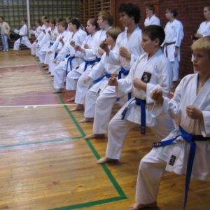 Lietuvos Shotokan Karatė Federacija