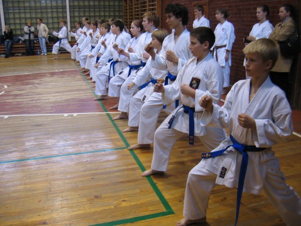 Lietuvos Shotokan Karatė Federacija