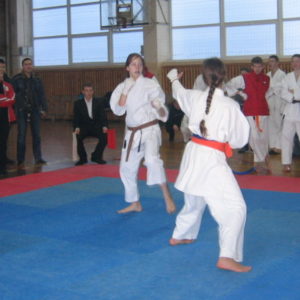 Lietuvos Shotokan Karatė Federacija