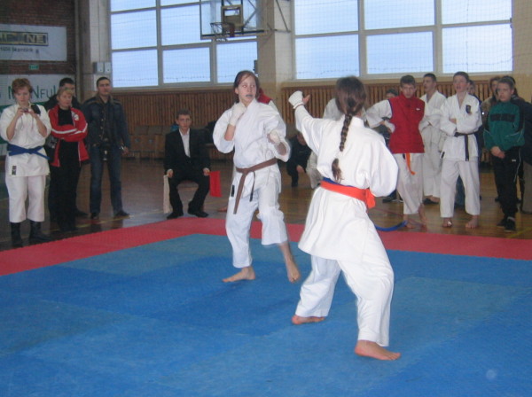 Lietuvos Shotokan Karatė Federacija