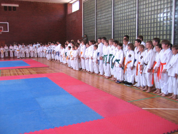 Lietuvos Shotokan Karatė Federacija