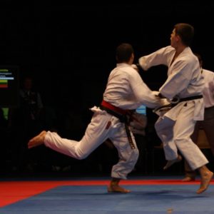 Lietuvos Shotokan Karatė Federacija