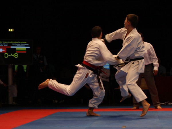 Lietuvos Shotokan Karatė Federacija