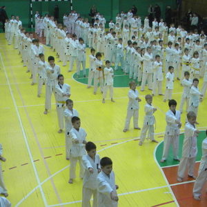 Lietuvos Shotokan Karatė Federacija