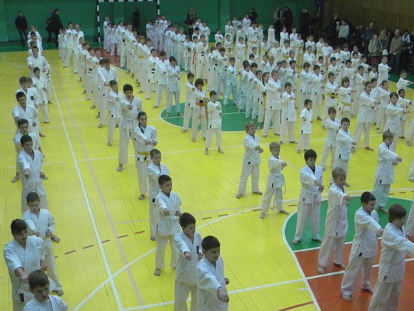 Lietuvos Shotokan Karatė Federacija