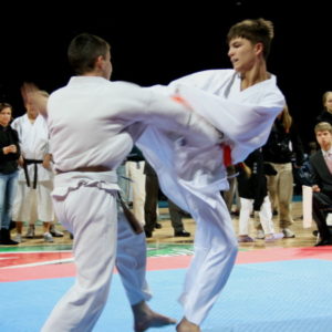 Lietuvos Shotokan Karatė Federacija