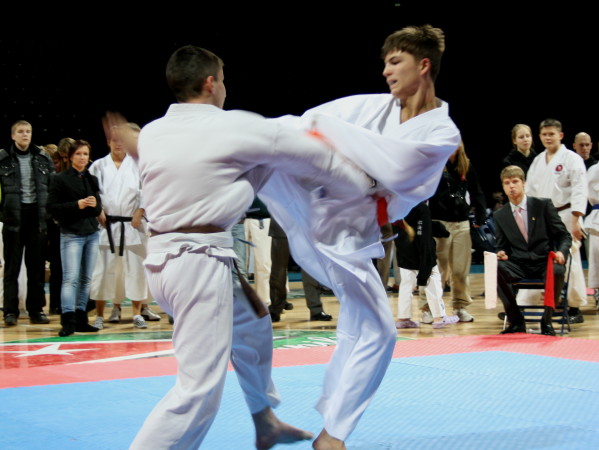 Lietuvos Shotokan Karatė Federacija