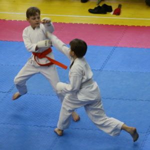 Lietuvos Shotokan Karatė Federacija