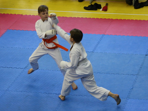 Lietuvos Shotokan Karatė Federacija