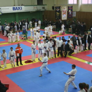 Lietuvos Shotokan Karatė Federacija