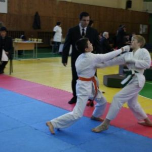 Lietuvos Shotokan Karatė Federacija