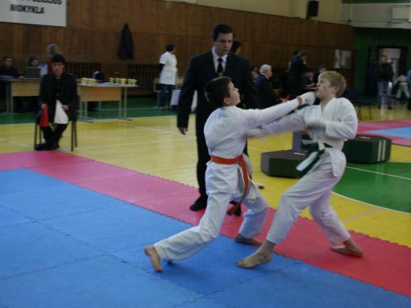 Lietuvos Shotokan Karatė Federacija