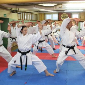 Lietuvos Shotokan Karatė Federacija