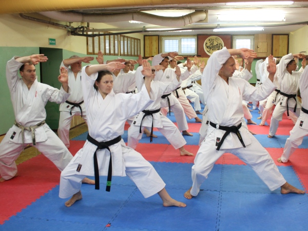 Lietuvos Shotokan Karatė Federacija