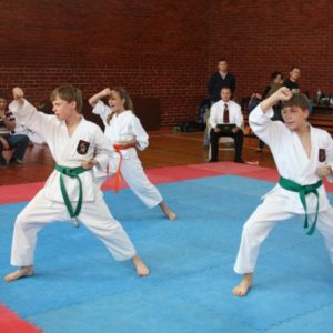 Lietuvos Shotokan Karatė Federacija