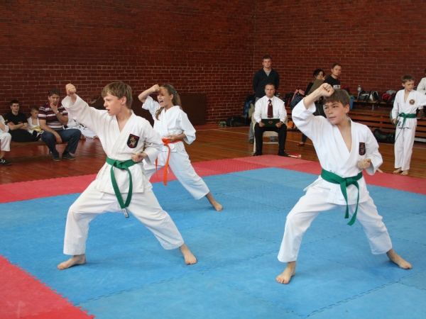 Lietuvos Shotokan Karatė Federacija