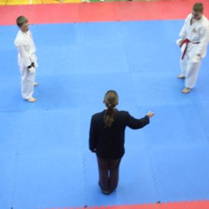 Lietuvos Shotokan Karatė Federacija