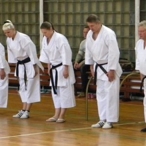 Lietuvos Shotokan Karatė Federacija