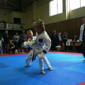 Lietuvos Shotokan Karatė Federacija