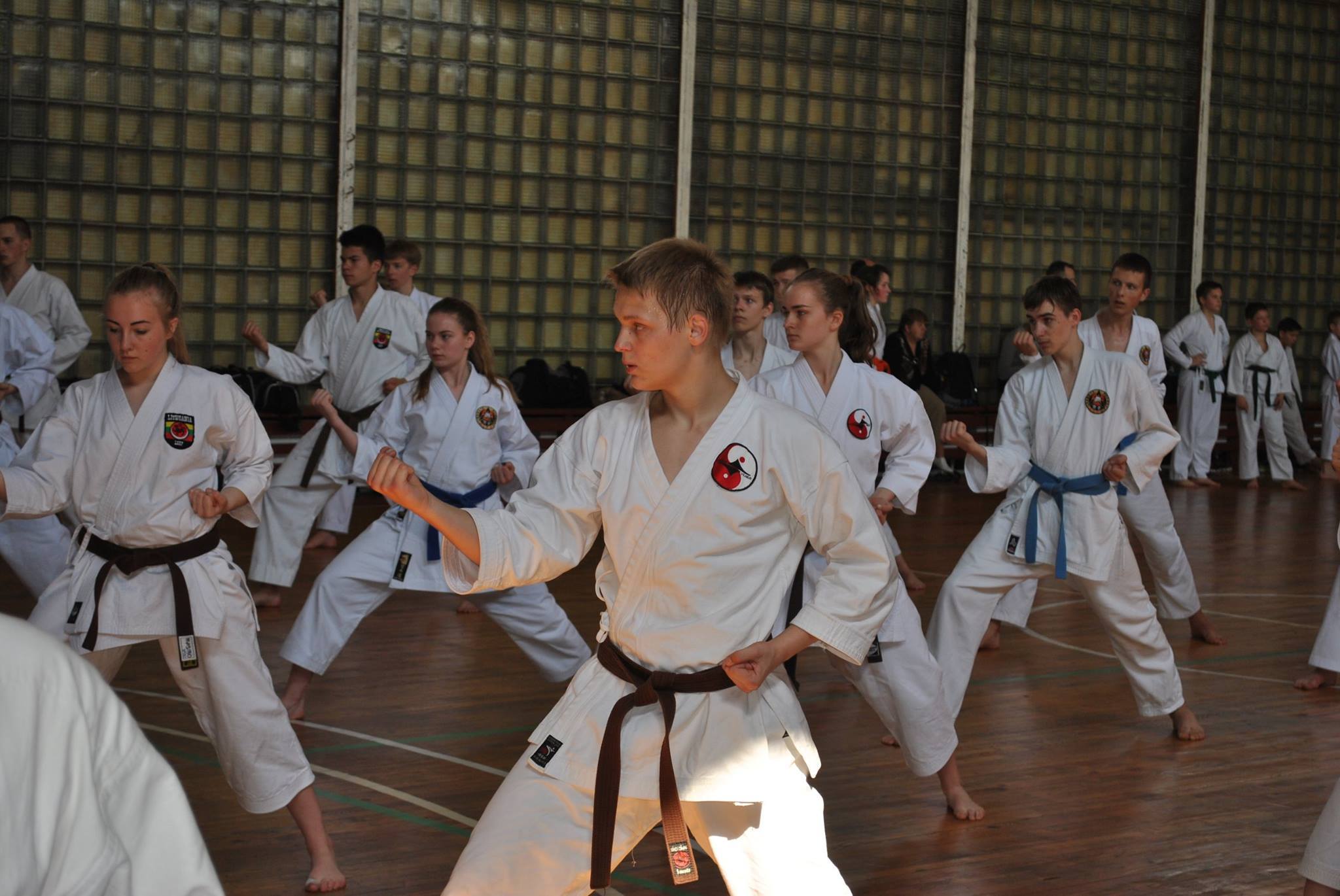 Lietuvos Shotokan Karatė Federacija