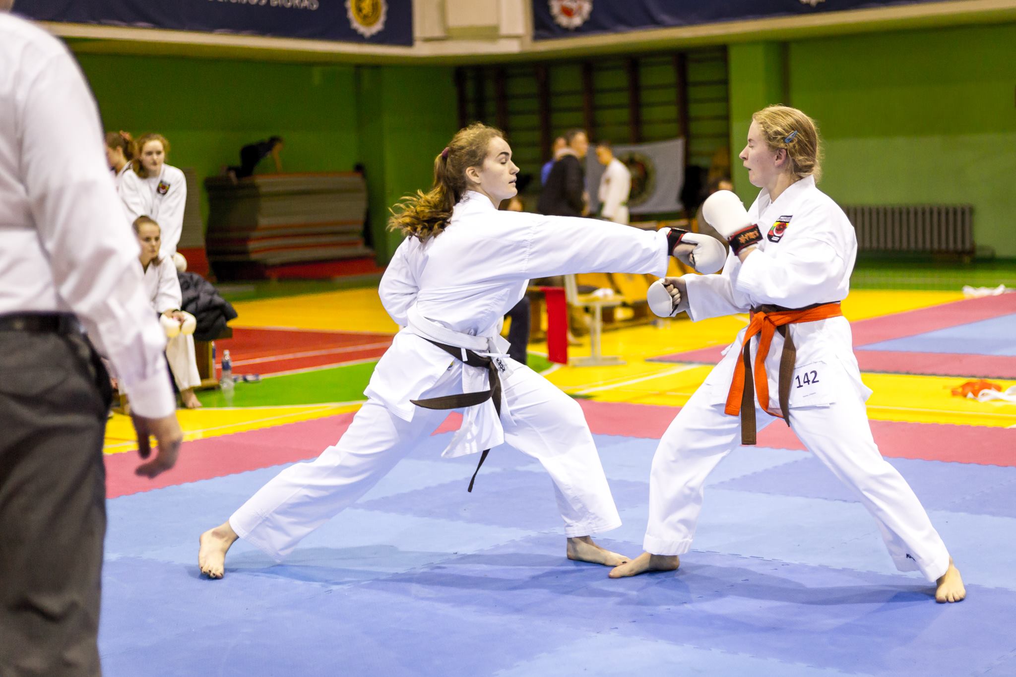 Lietuvos Shotokan Karatė Federacija